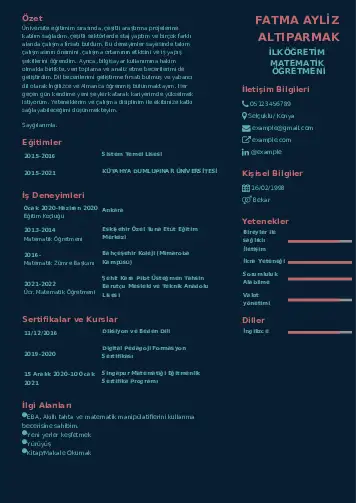 Matematik Öğretmeni Cv Örnekleri cv indir